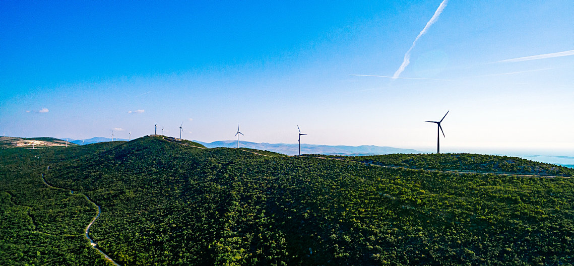 Expertise That Delivers