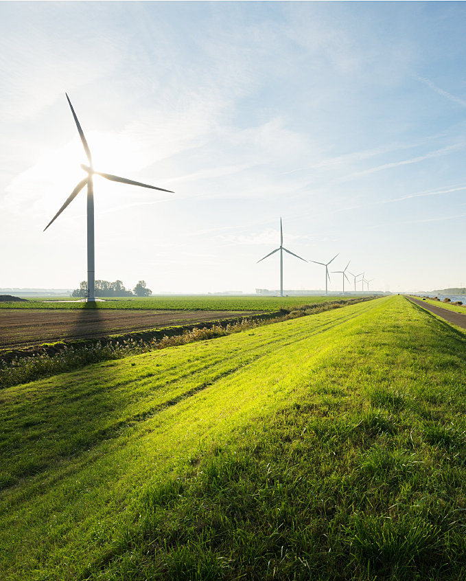 Sustainable Finance and ESG Strategy